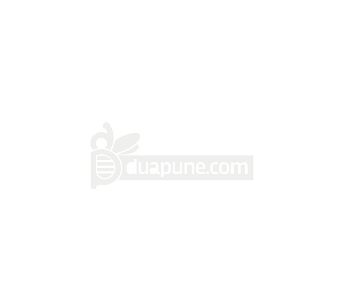 Duapune Logo